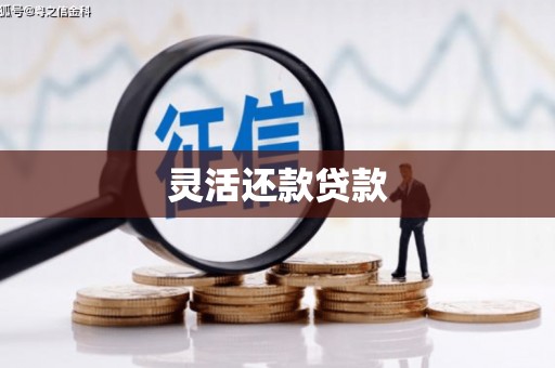 张店灵活还款贷款